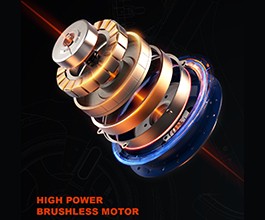 2000W High-Efficiency Motor3