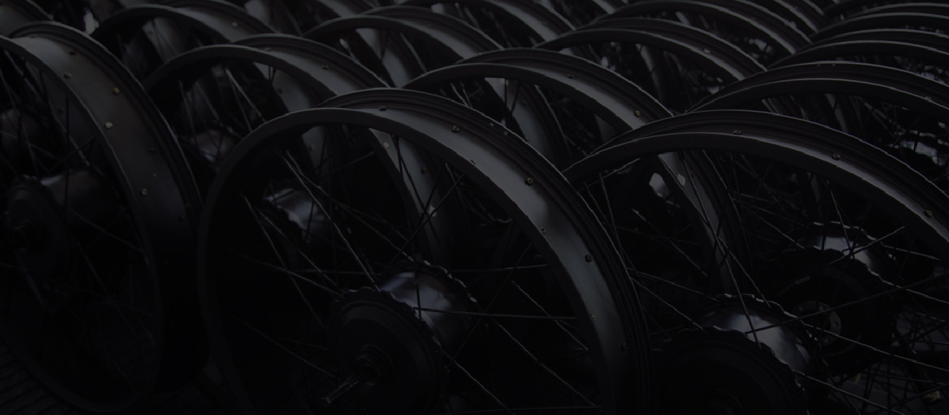 PXID 年間生産能力