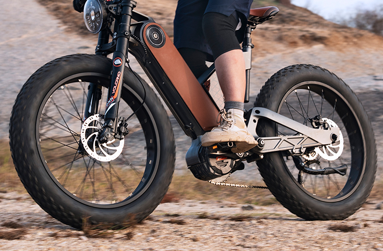 Hub Motor & Mid-Drive Motor (3)