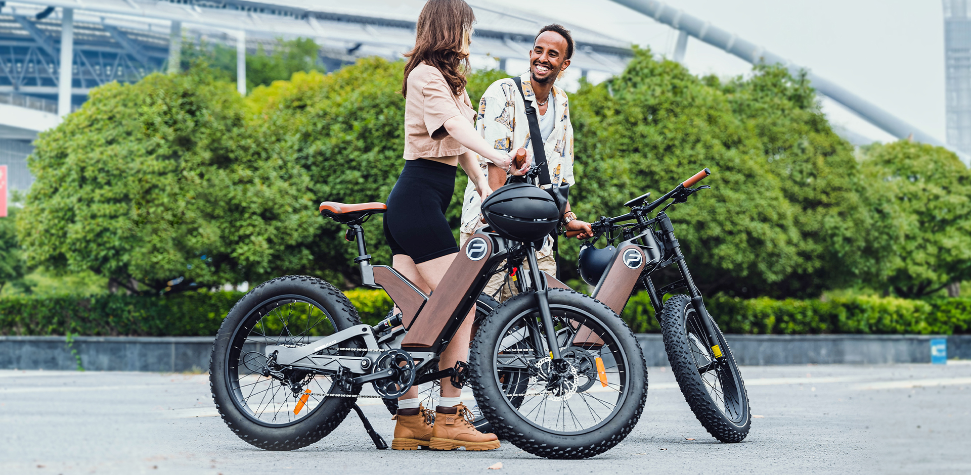 fat tire electric bike